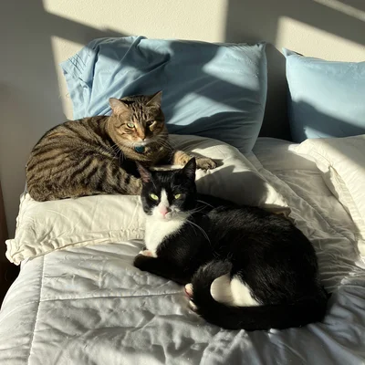 Xena & Midna